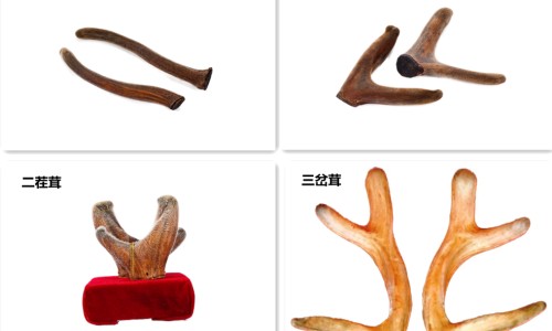 蛋白质会促进脂溶性维生素吸收吗-蛋白质会促进脂溶性维生素吸收吗-蛋白质能促进脂肪代谢吗,中国蛋白质促进脂肪的分解网站