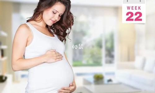 蛋白质可以帮助脂肪燃烧吗-蛋白质会促进脂溶性维生素吸收吗-蛋白质能促进脂肪代谢吗,中国蛋白质促进脂肪的分解网站