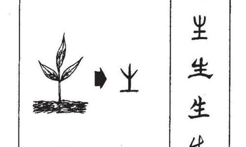 蛋白质会促进脂溶性维生素吸收吗-蛋白质能促进脂肪代谢吗,中国蛋白质促进脂肪的分解网站